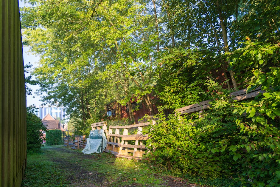 A narrow outdoor pathway adjacent to a wooden fence on the left and dense green foliage on the right, with tall trees overhead creating a canopy of leafy branches. The ground is uneven with visible patches of grass and dirt. In the background, there are several stacked pallets made of light-colored wood, some covered with a white plastic sheet, indicating ongoing or recent clearing or waste removal activity. Behind the pallets, parts of a brick building and distant modern high-rise structures can be seen through the trees, situating the scene in an urban or semi-urban environment. The natural daylight illuminates the scene, highlighting the textures of the leaves, wood, and earth, suggesting a tranquil moment within a residential garden or rear yard that might be serviced by private waste removal specialists such as Waste Removal Wimbledon for clearing garden debris, bulk waste, or other rubbish associated with property maintenance.
